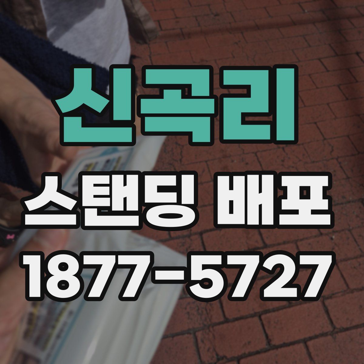 신곡리 스탠딩 배포