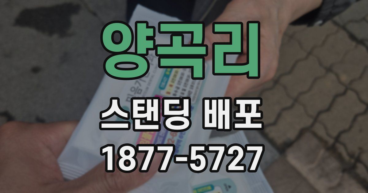 양곡리 스탠딩 배포