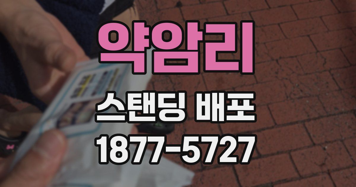 약암리 스탠딩 배포