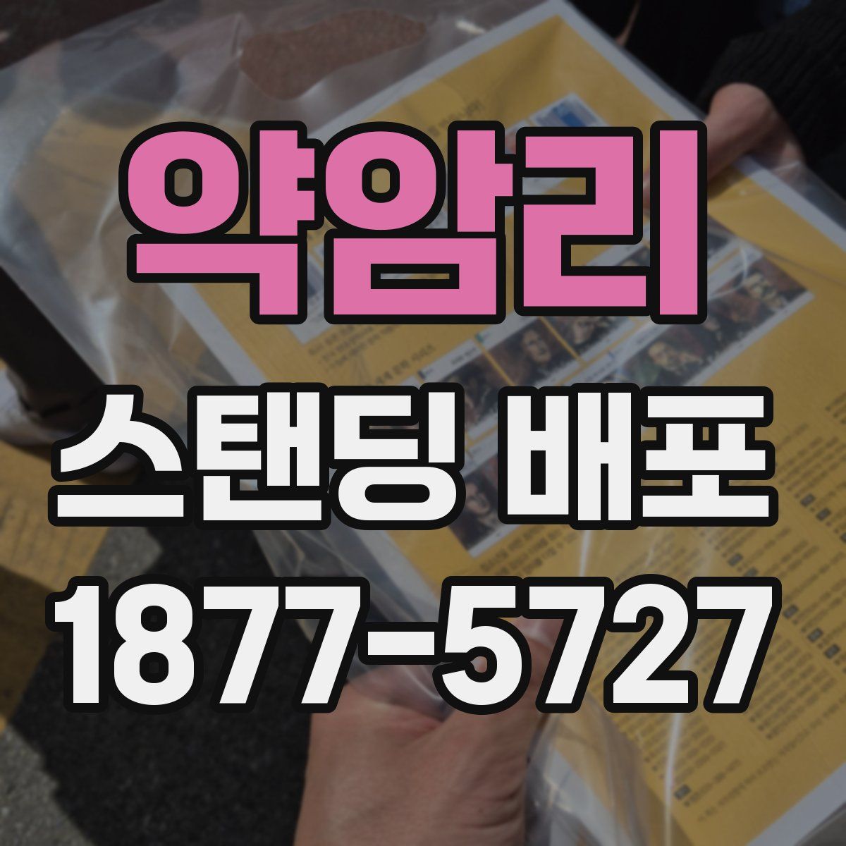 약암리 스탠딩 배포