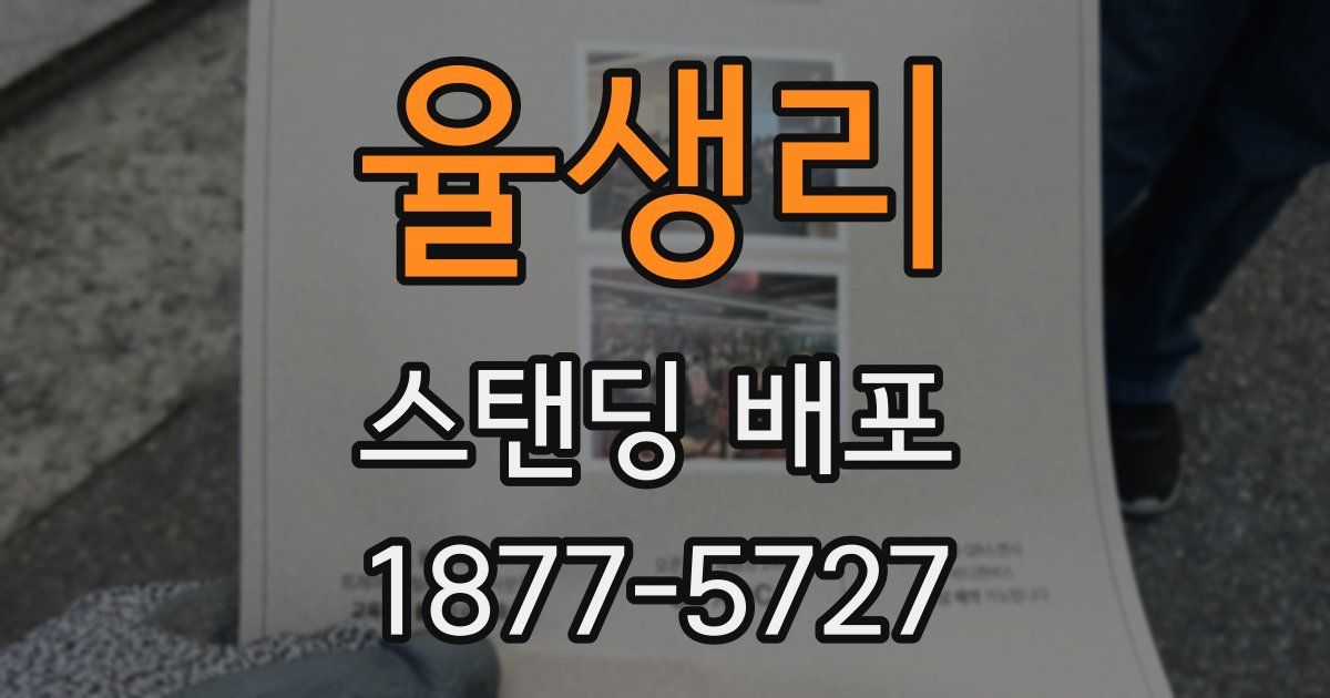 율생리 스탠딩 배포