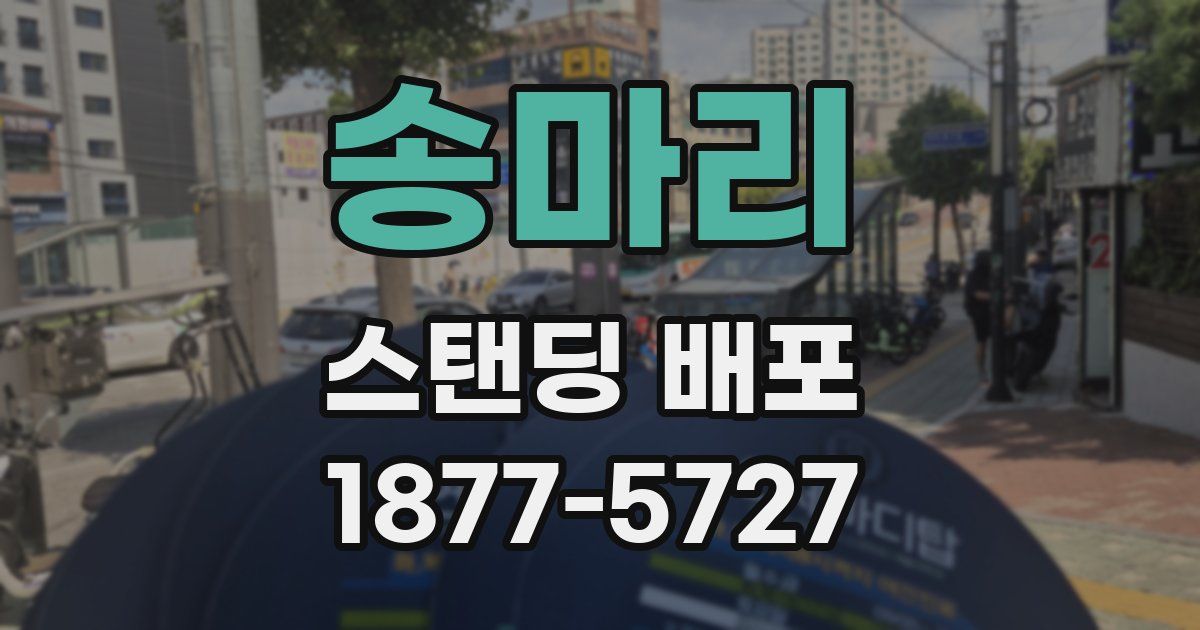 송마리 스탠딩 배포