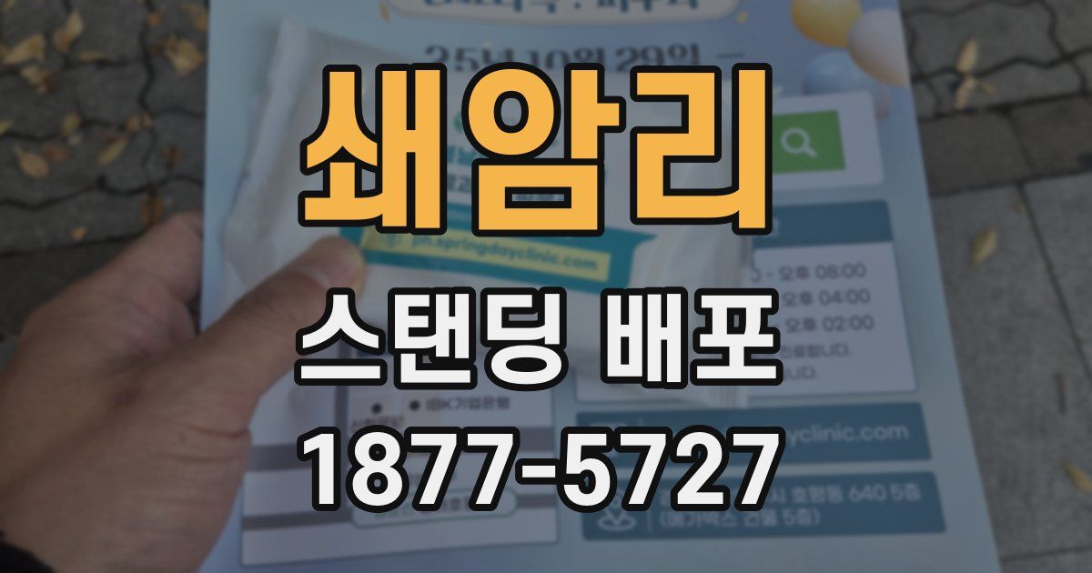 쇄암리 스탠딩 배포