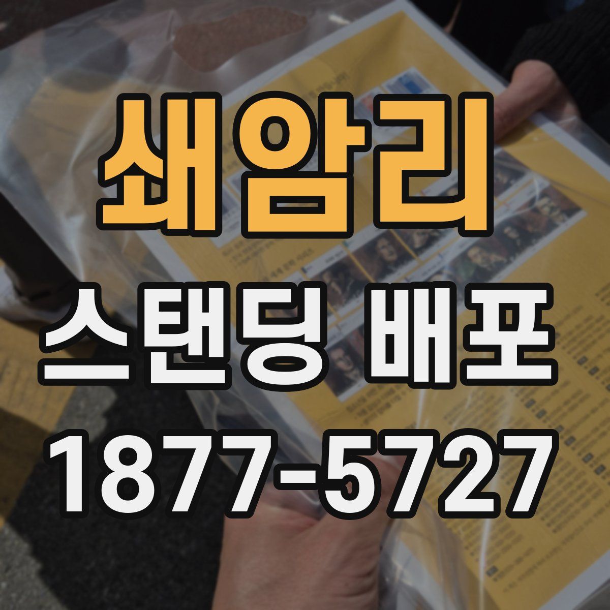 쇄암리 스탠딩 배포
