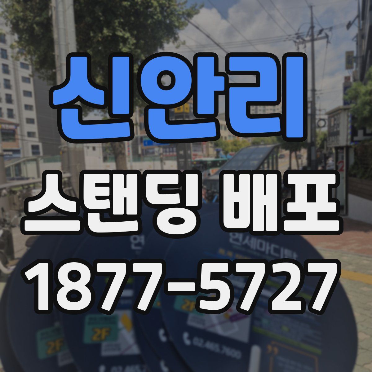 신안리 스탠딩 배포
