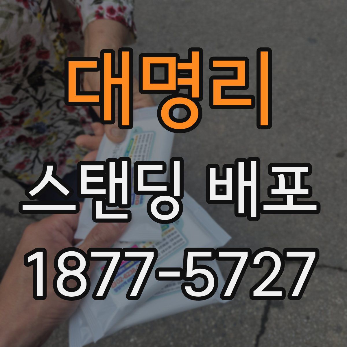 대명리 스탠딩 배포