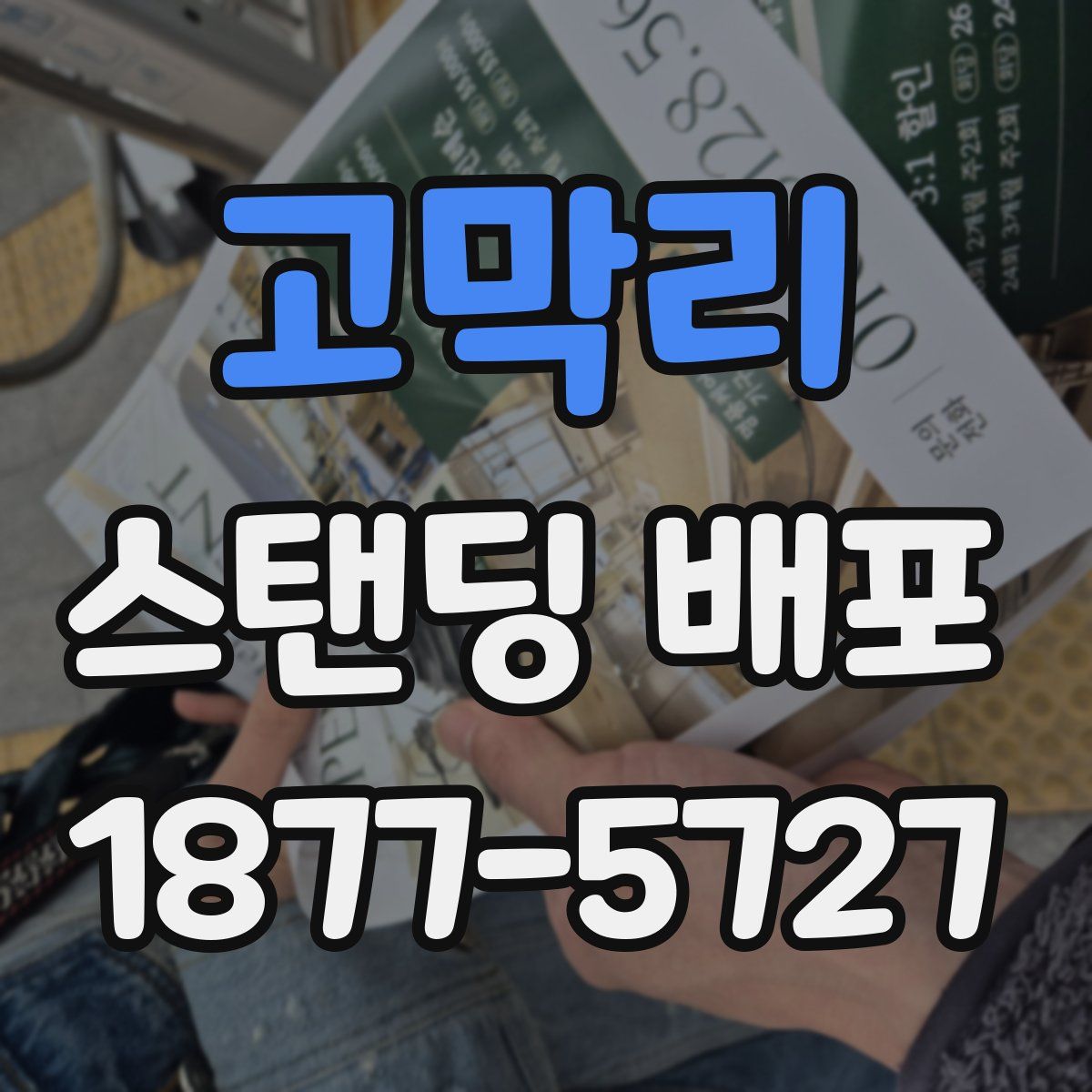 고막리 스탠딩 배포
