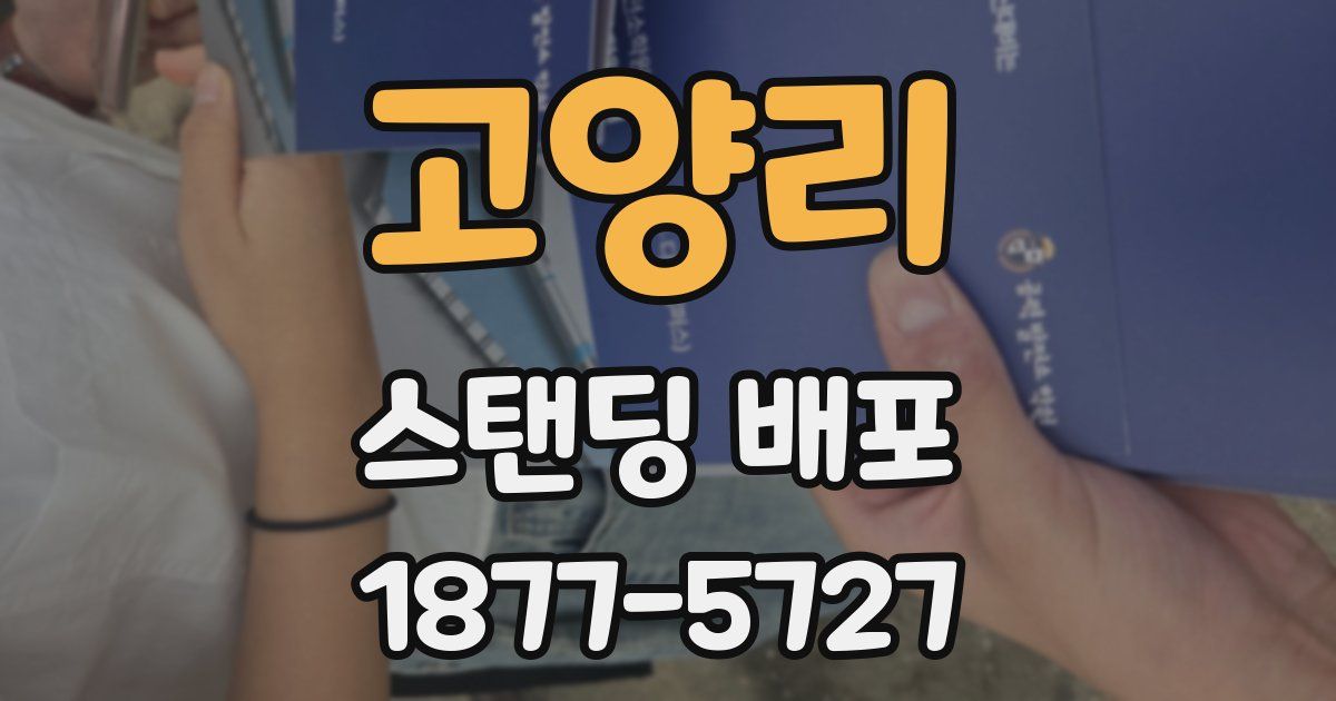 고양리 스탠딩 배포