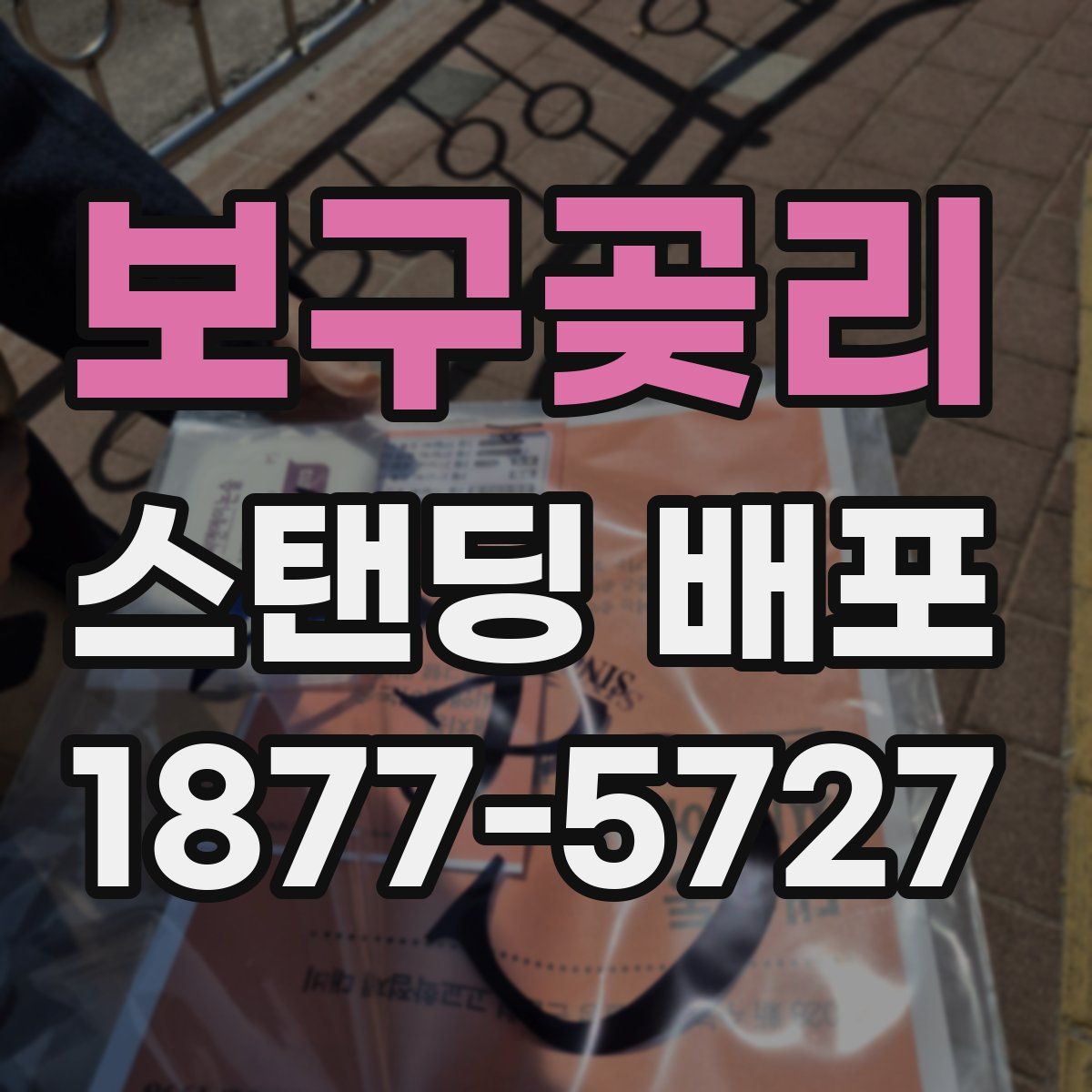 보구곶리 스탠딩 배포