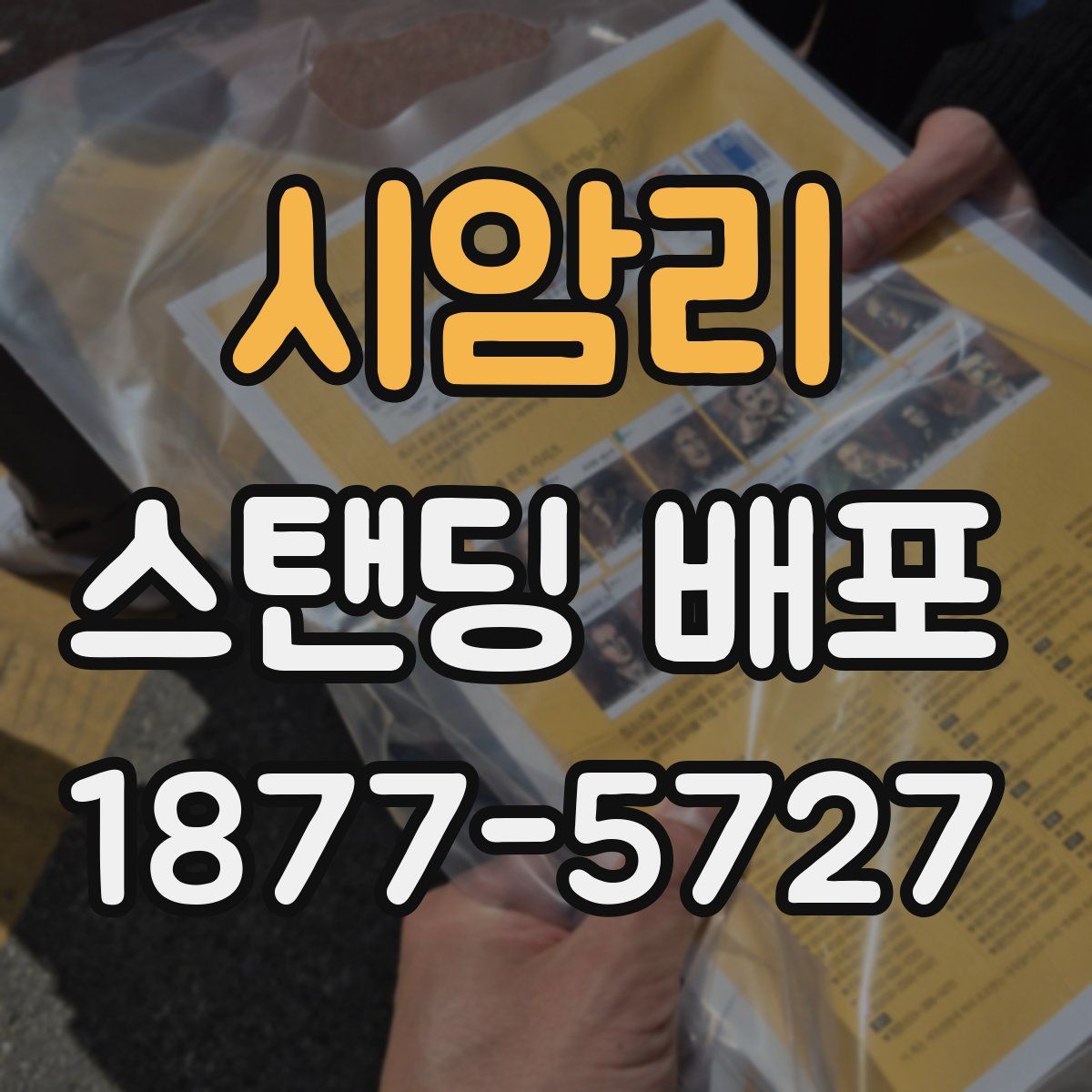 시암리 스탠딩 배포
