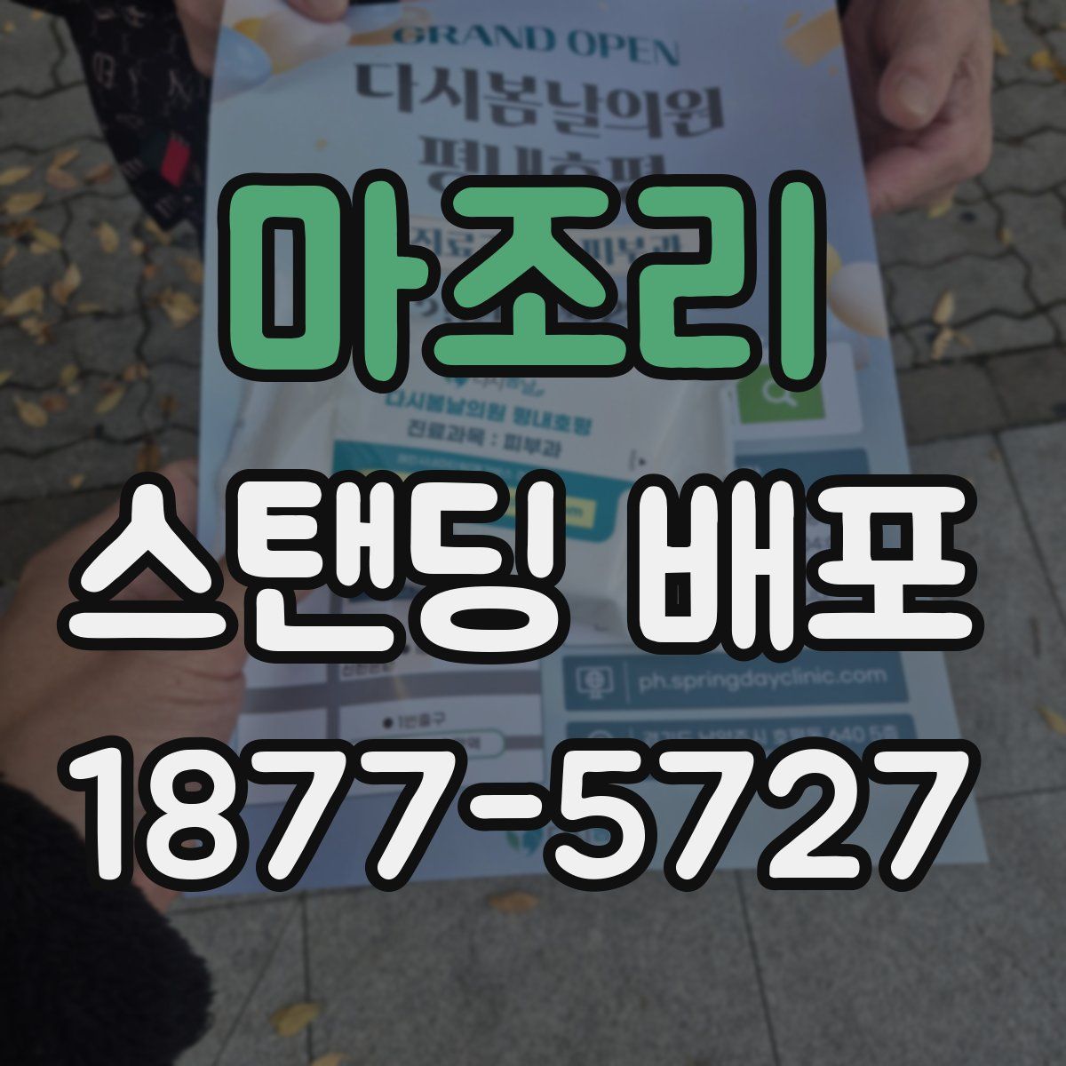 마조리 스탠딩 배포