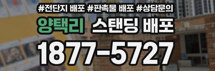 양택리 스탠딩 배포