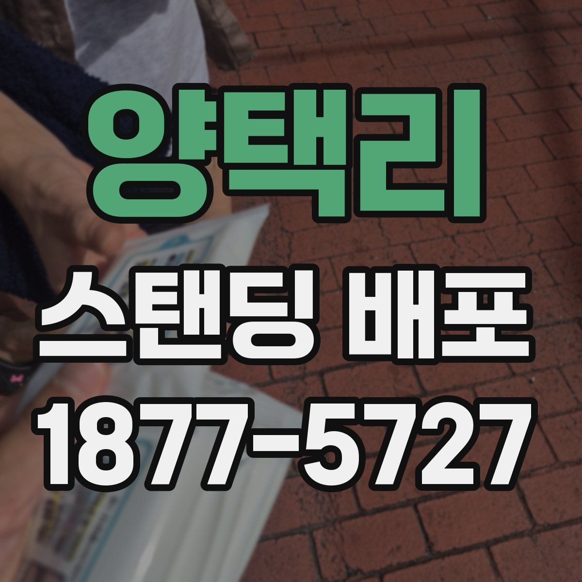 양택리 스탠딩 배포