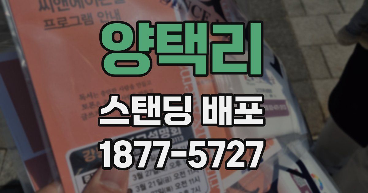 양택리 스탠딩 배포