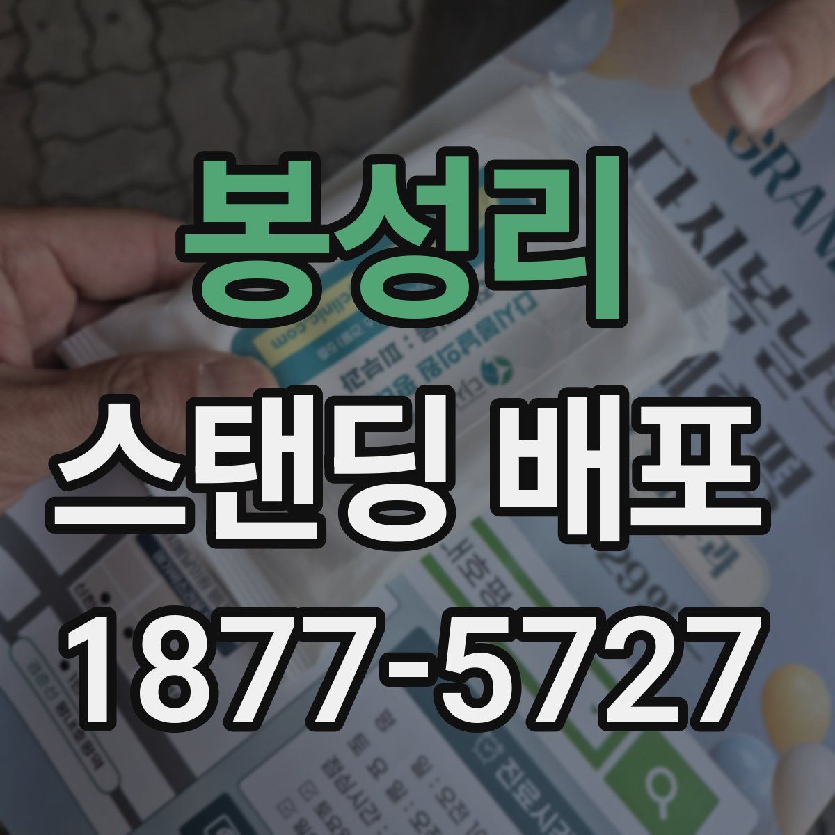 봉성리 스탠딩 배포