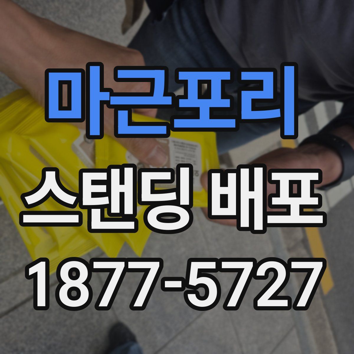 마근포리 스탠딩 배포