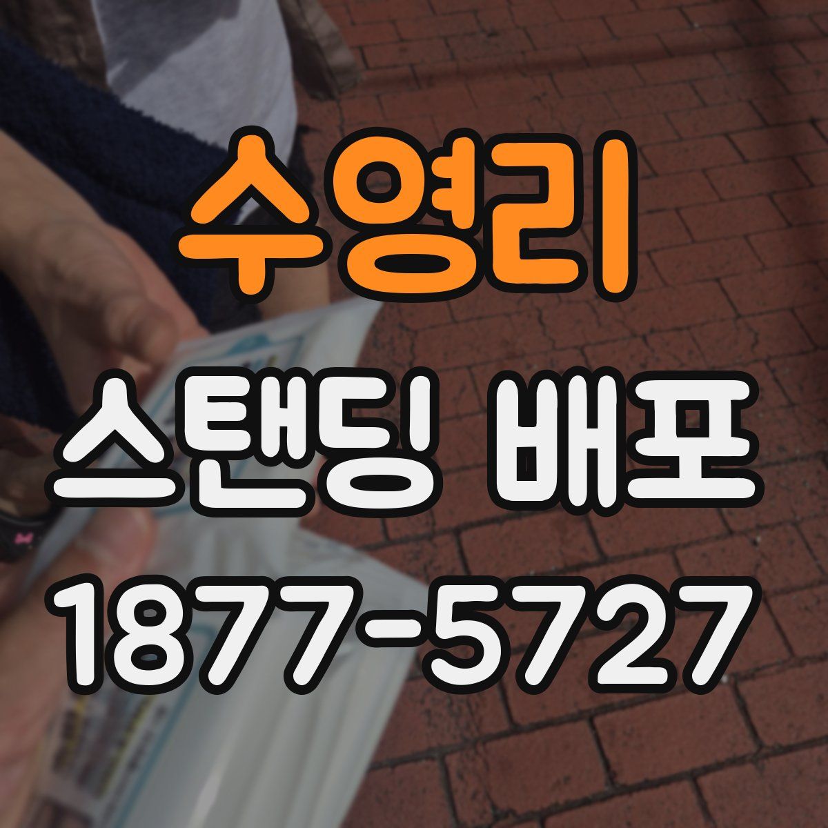 수영리 스탠딩 배포