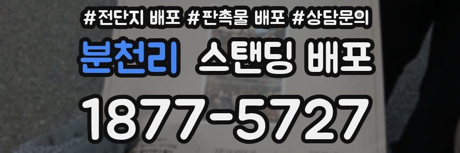 분천리 스탠딩 배포