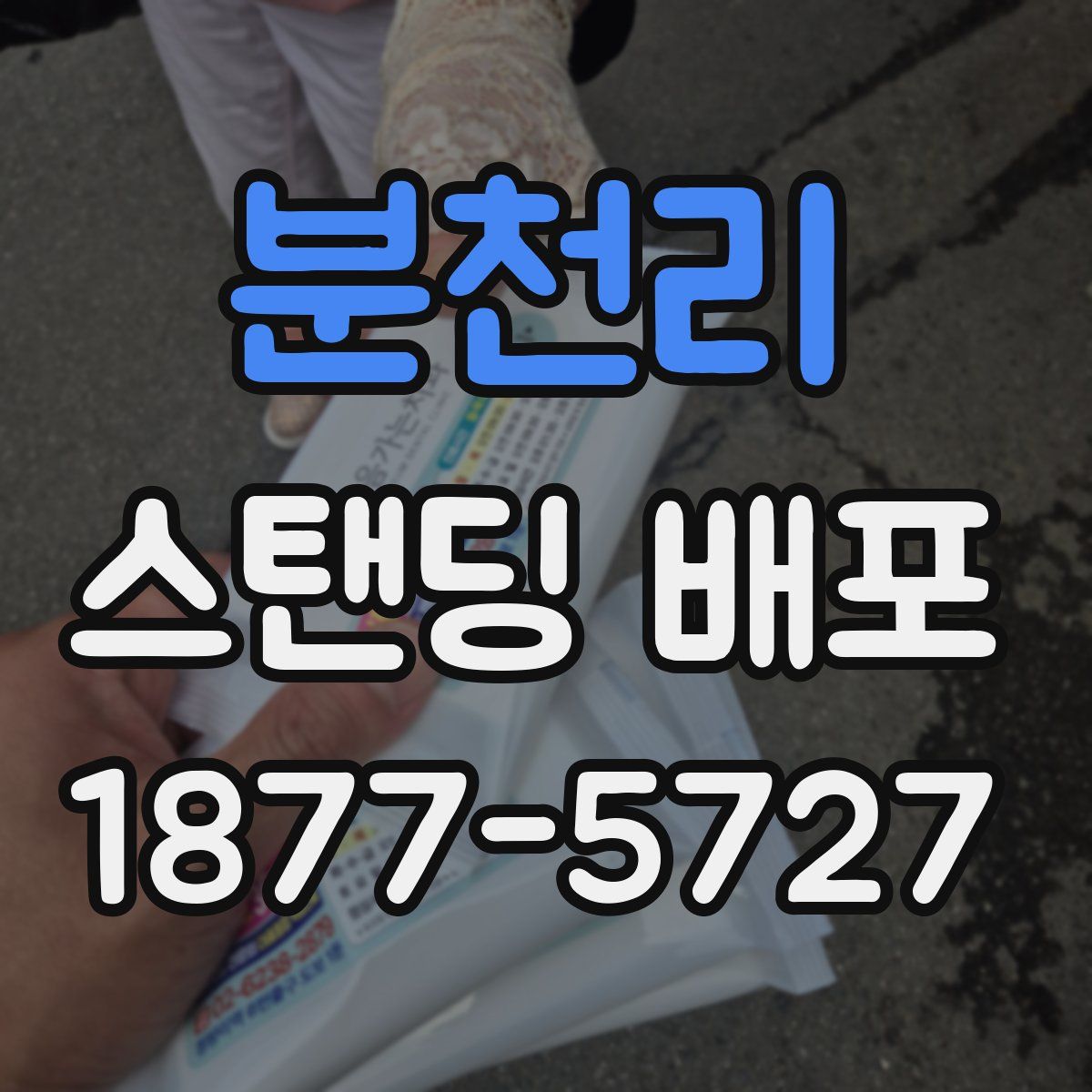 분천리 스탠딩 배포