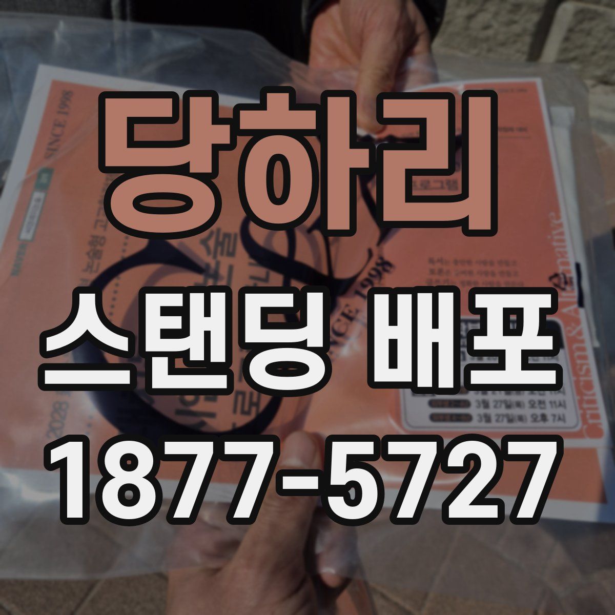 당하리 스탠딩 배포