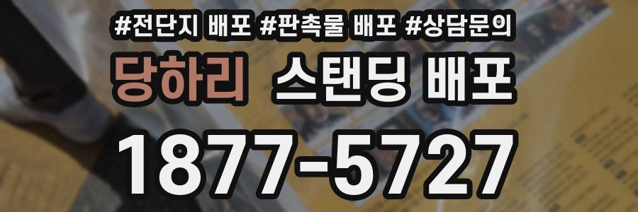 당하리 스탠딩 배포