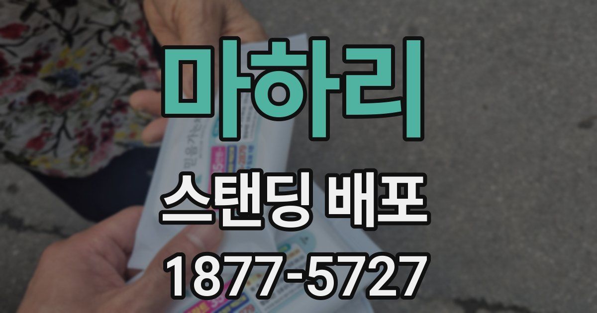 마하리 스탠딩 배포