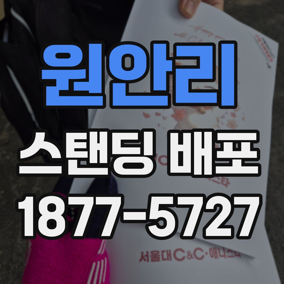 원안리 스탠딩 배포