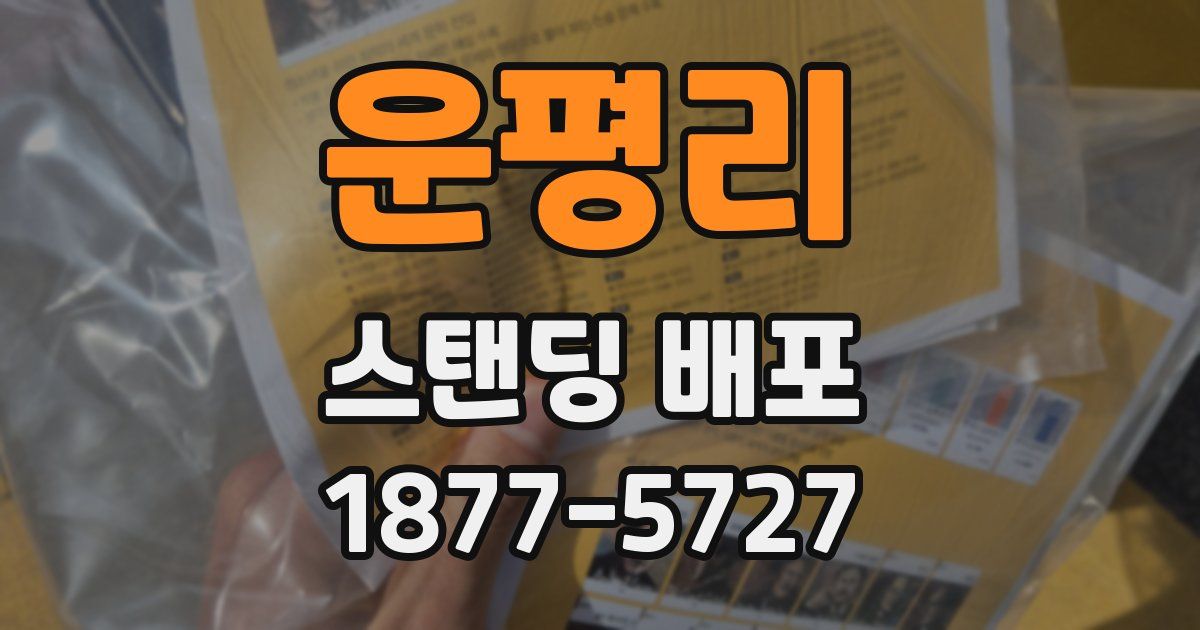 운평리 스탠딩 배포