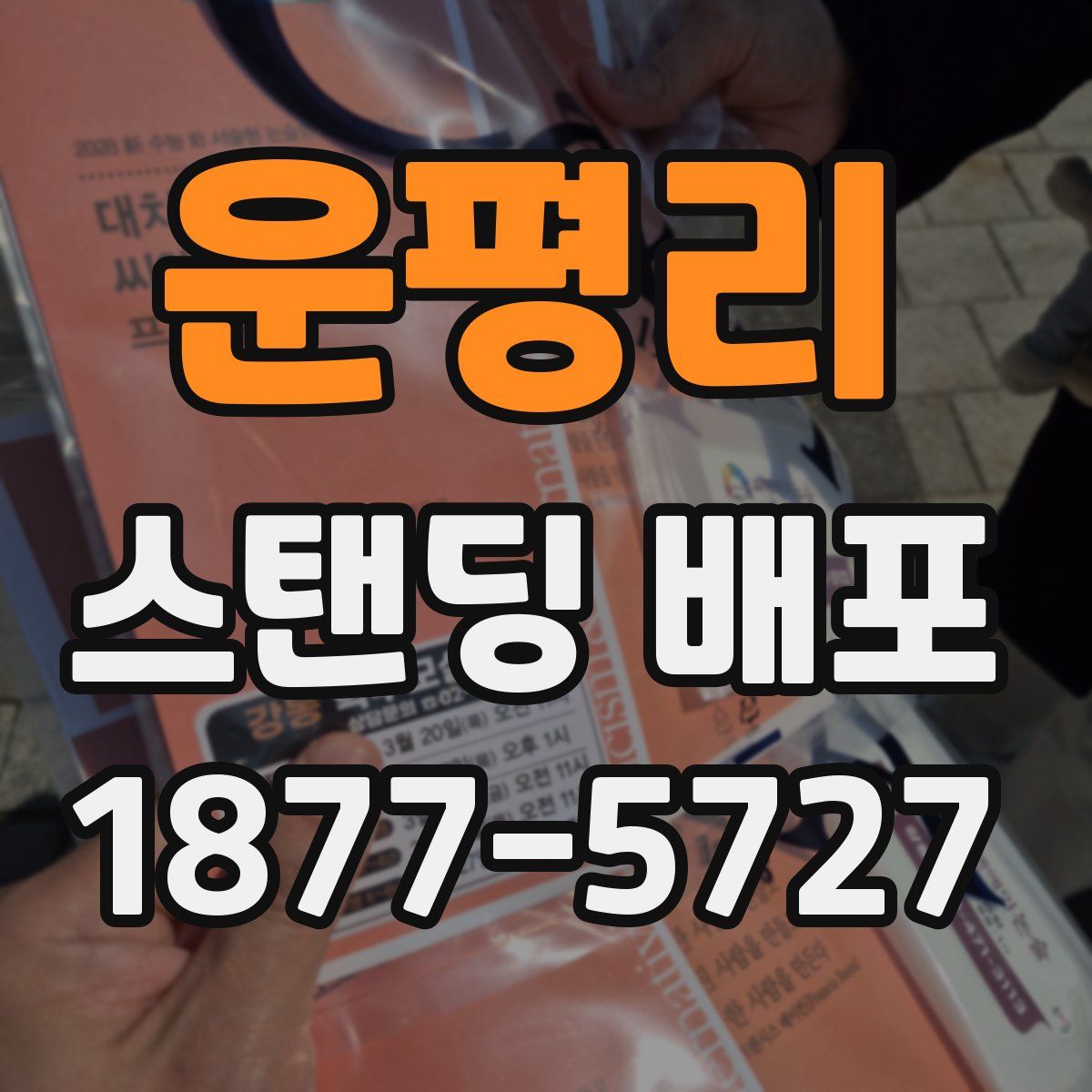 운평리 스탠딩 배포