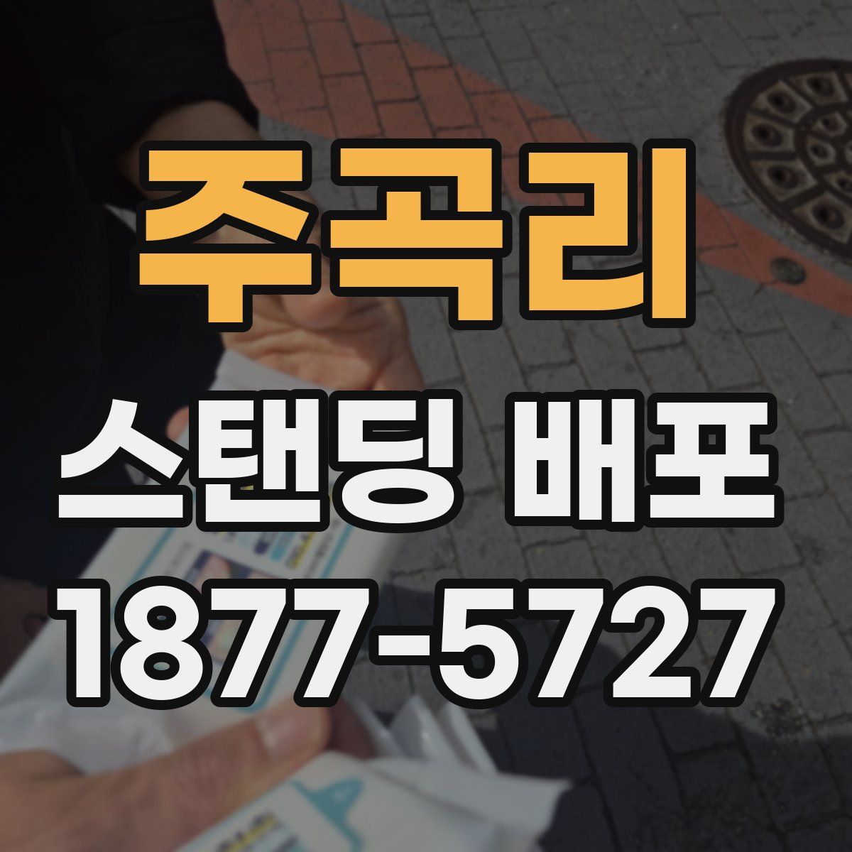 주곡리 스탠딩 배포