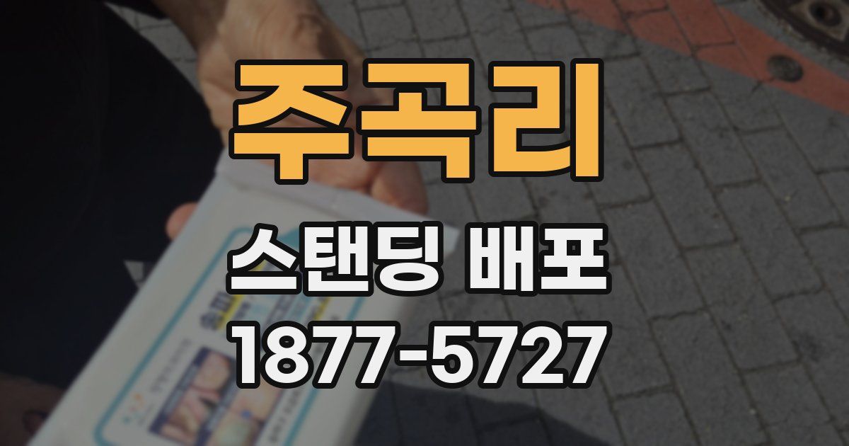 주곡리 스탠딩 배포