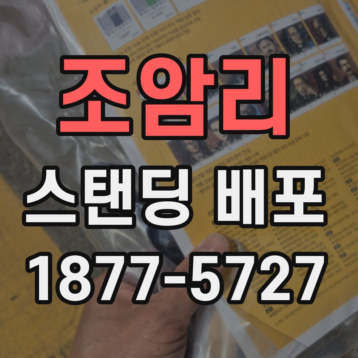조암리 스탠딩 배포