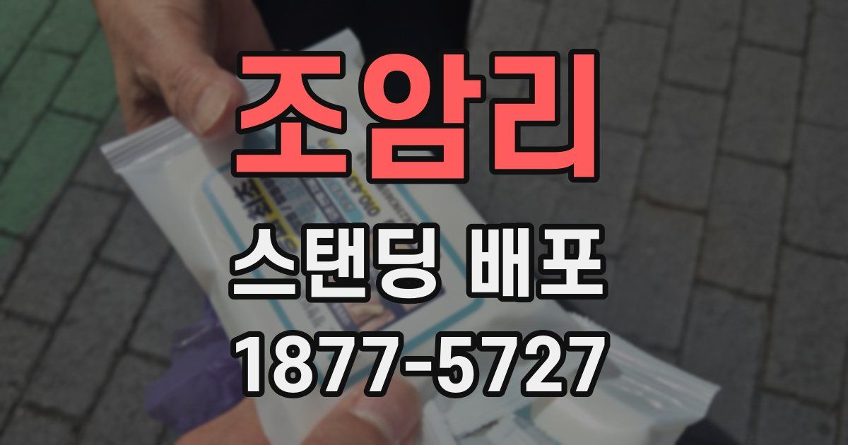 조암리 스탠딩 배포
