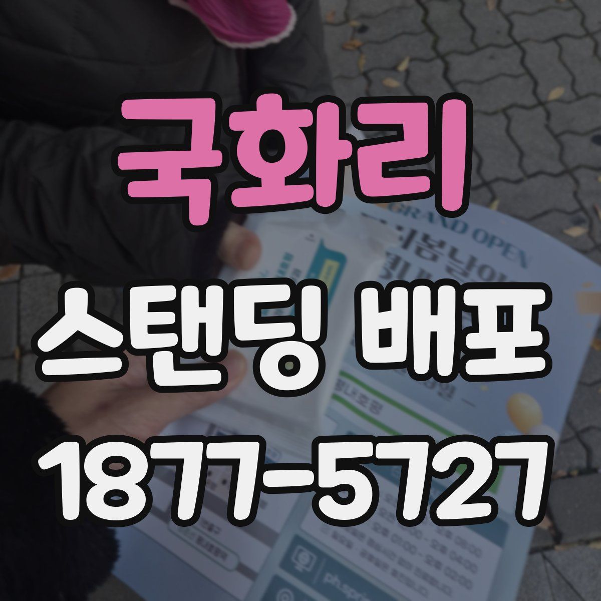 국화리 스탠딩 배포