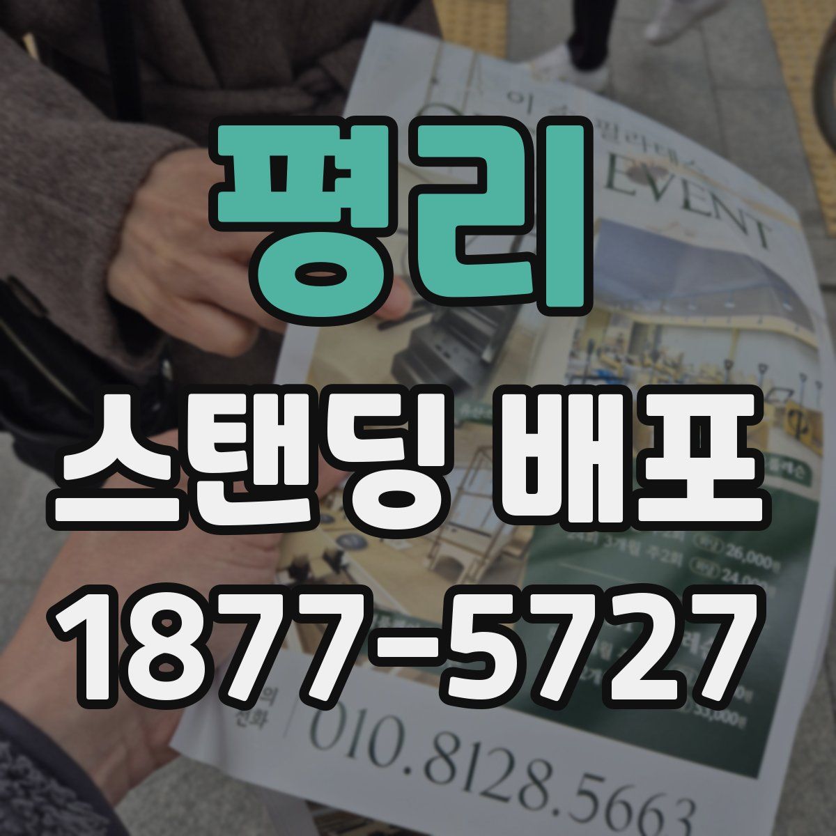 평리 스탠딩 배포