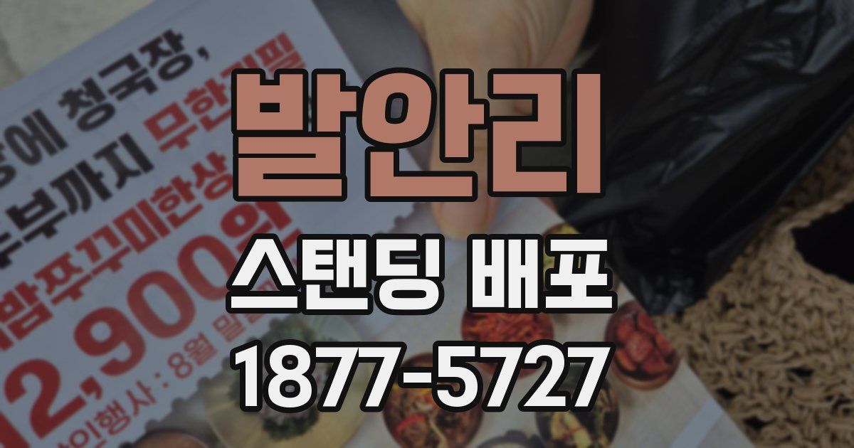 발안리 스탠딩 배포