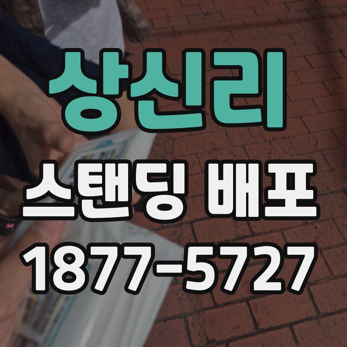 상신리 스탠딩 배포