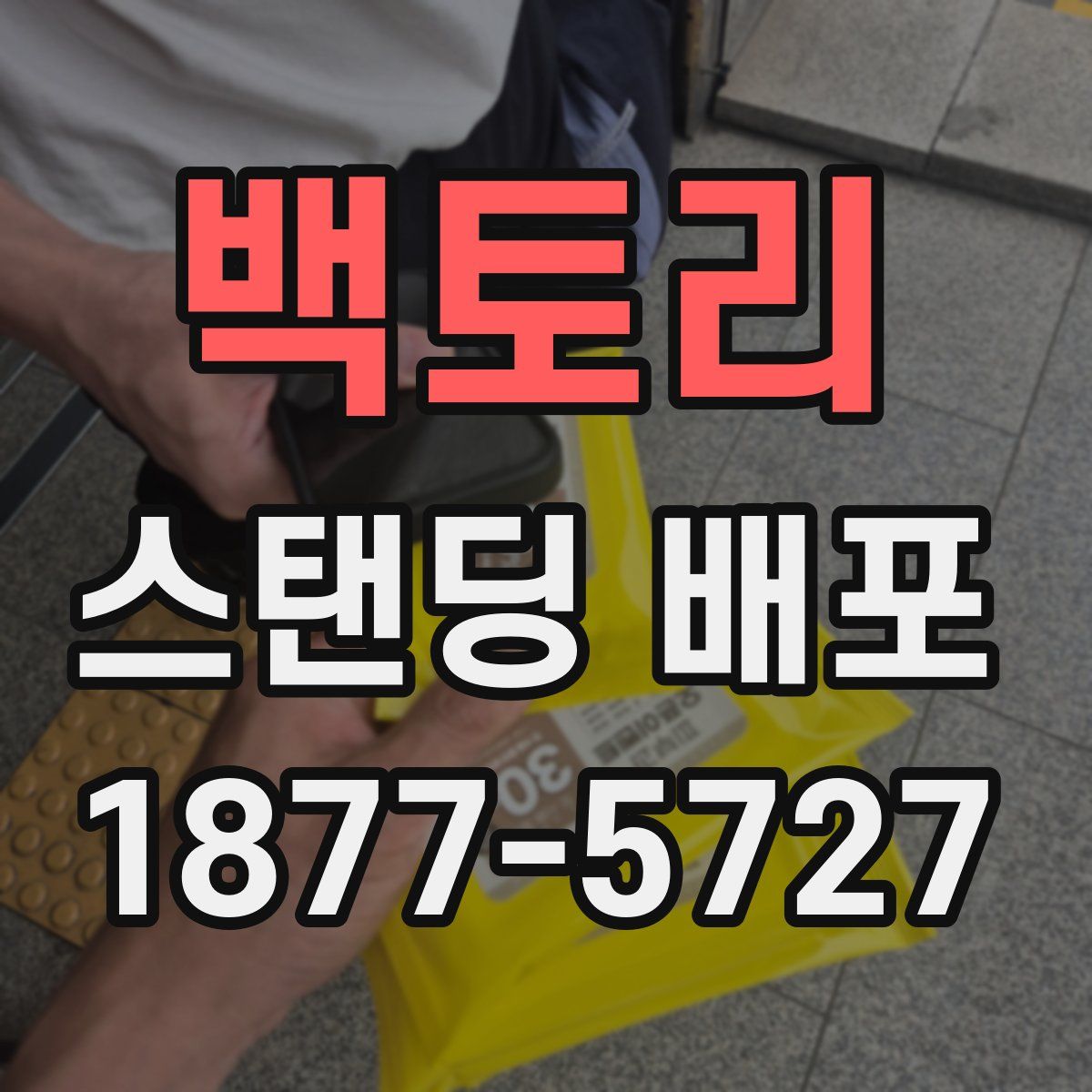 백토리 스탠딩 배포