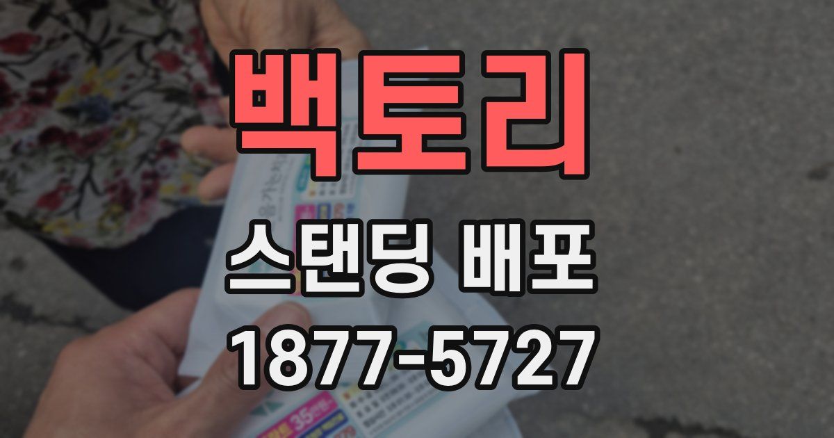 백토리 스탠딩 배포