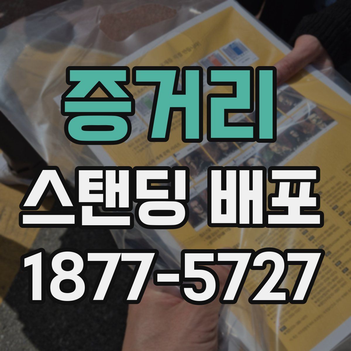 증거리 스탠딩 배포