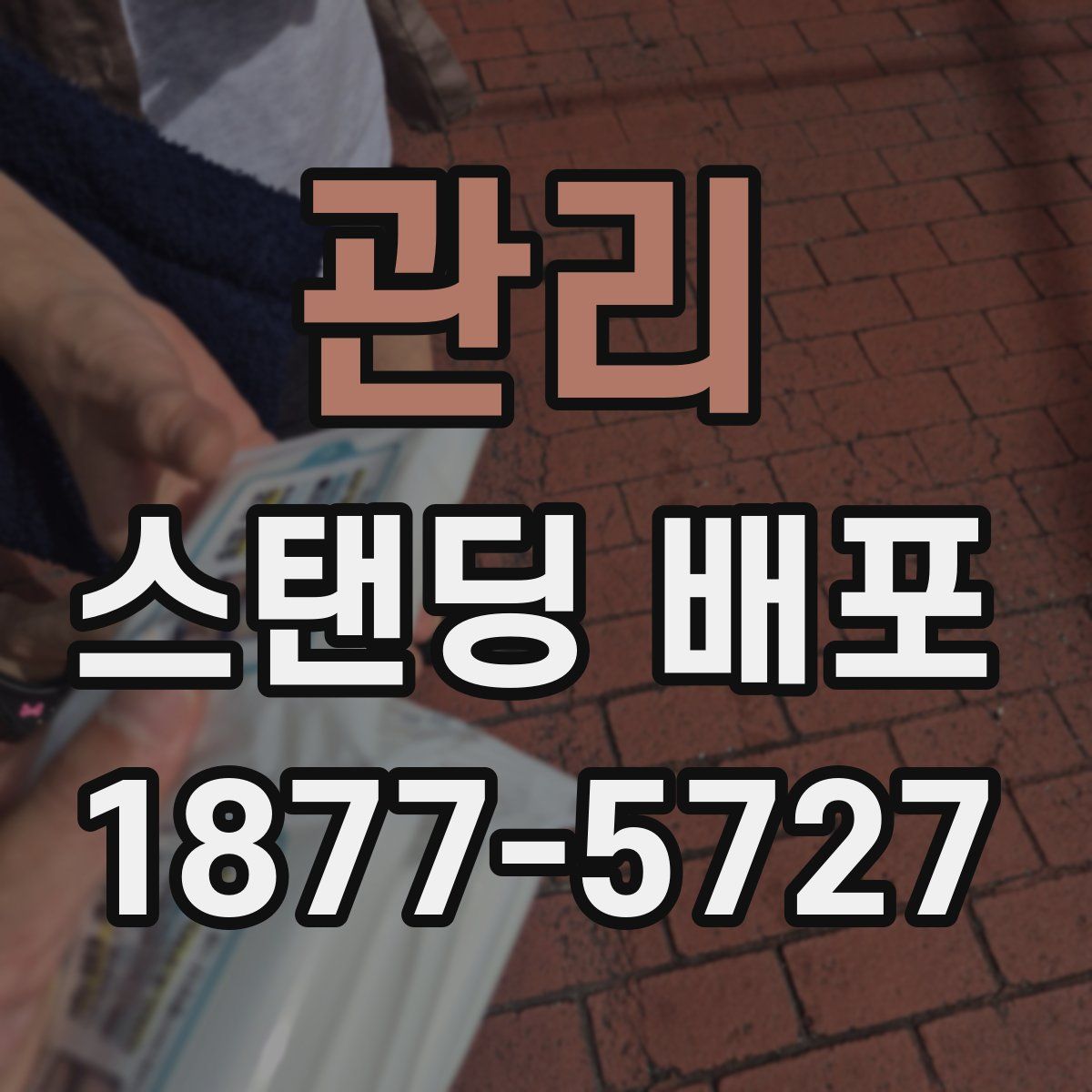 관리 스탠딩 배포