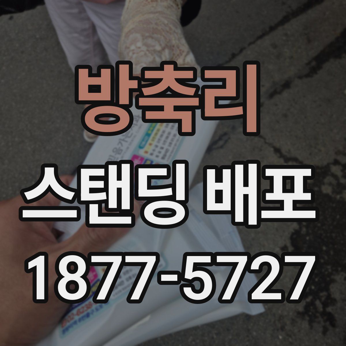방축리 스탠딩 배포