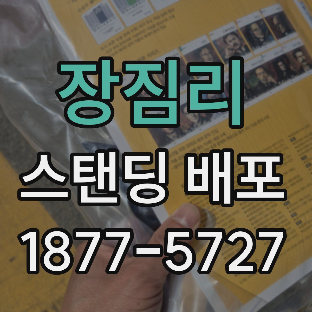 장짐리 스탠딩 배포