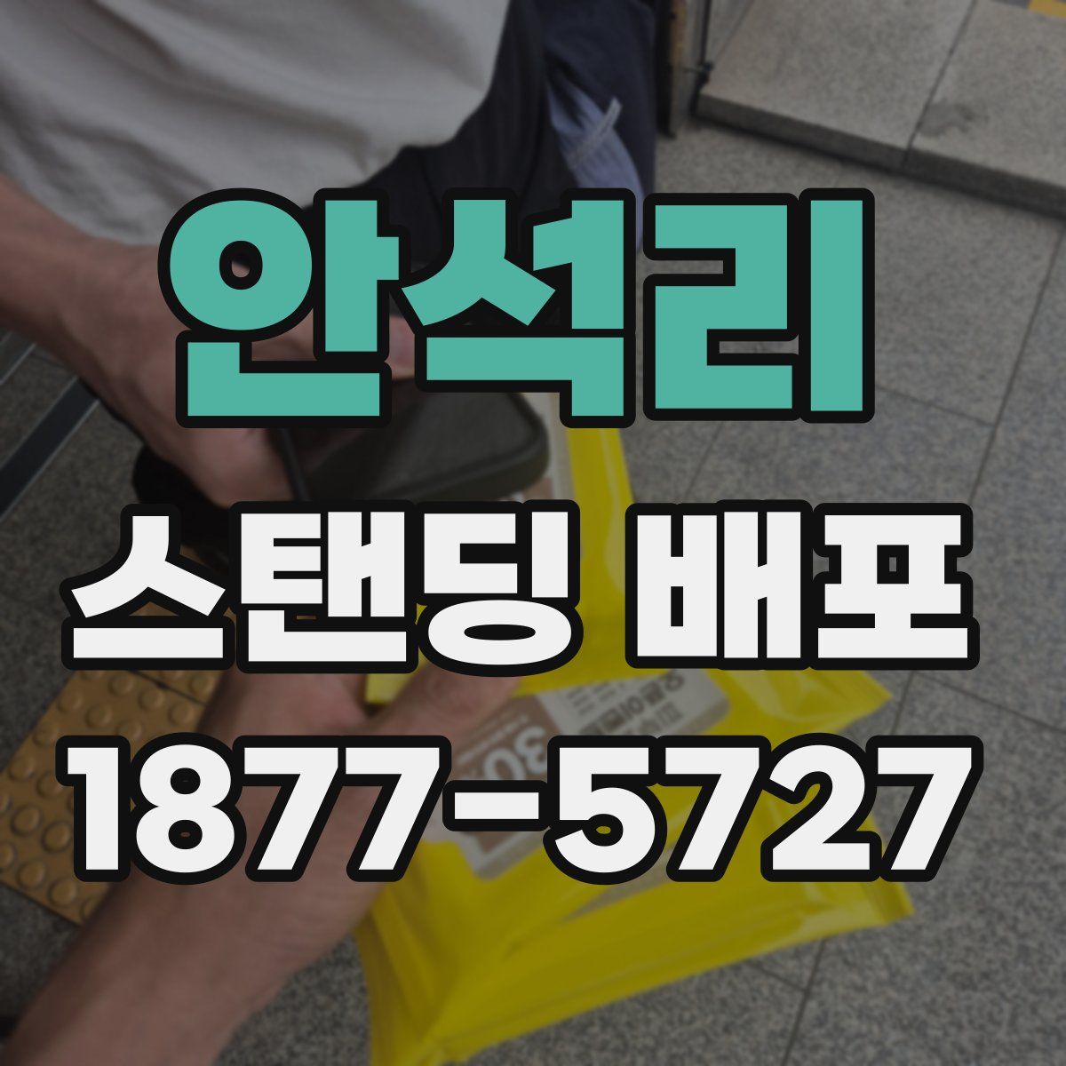 안석리 스탠딩 배포