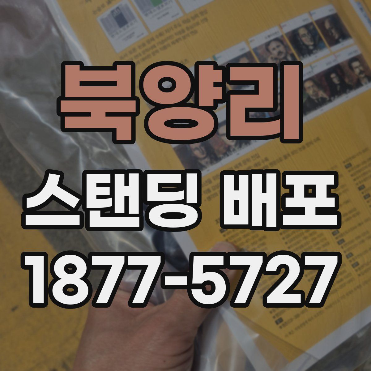 북양리 스탠딩 배포