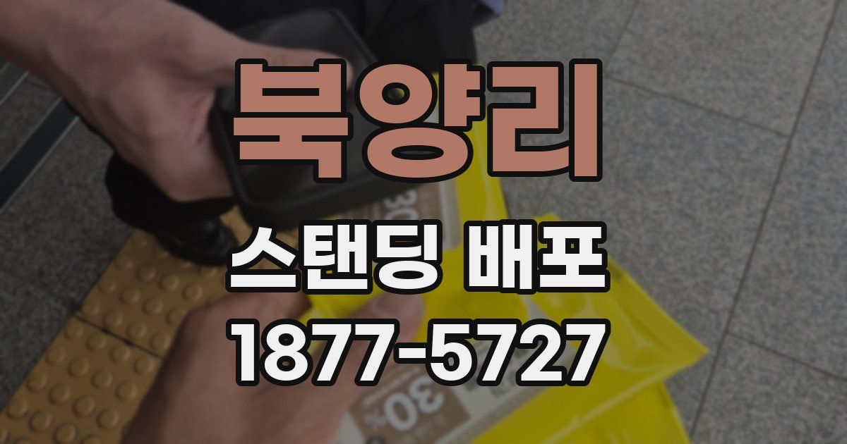북양리 스탠딩 배포
