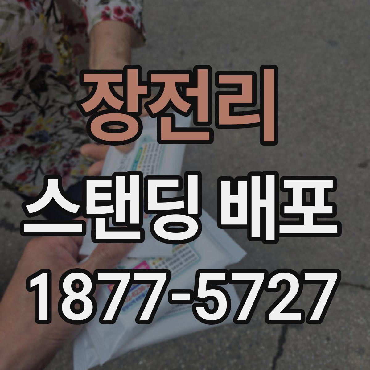 장전리 스탠딩 배포