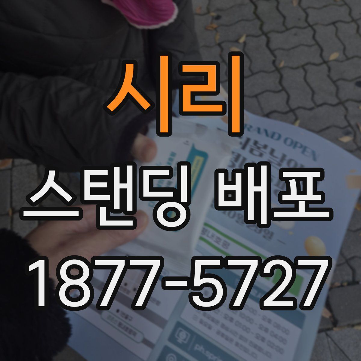 시리 스탠딩 배포