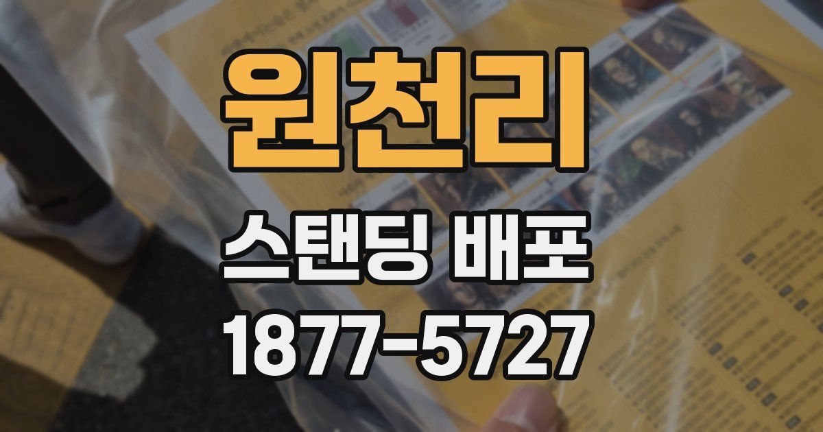 원천리 스탠딩 배포