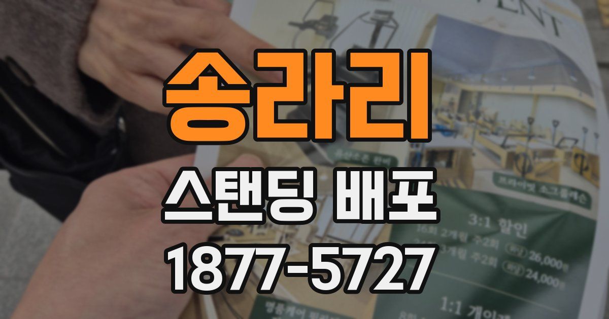 송라리 스탠딩 배포